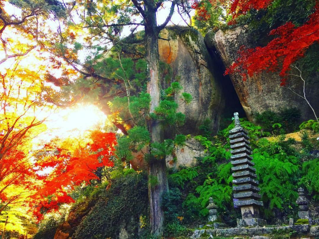 Guesthouse Kimiko Kasagicho Dış mekan fotoğraf